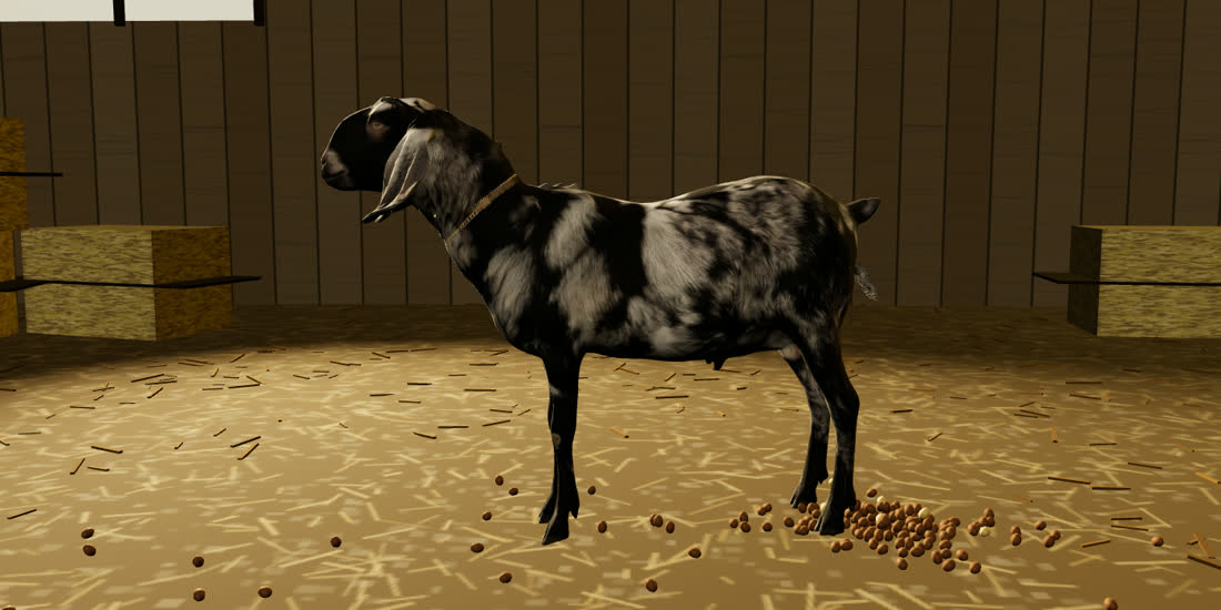 Grisha the 3D goat, tap him and he drops pellets